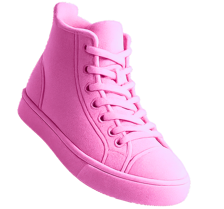 Shoe